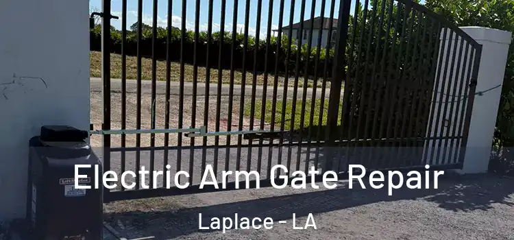 Electric Arm Gate Repair Laplace - LA
