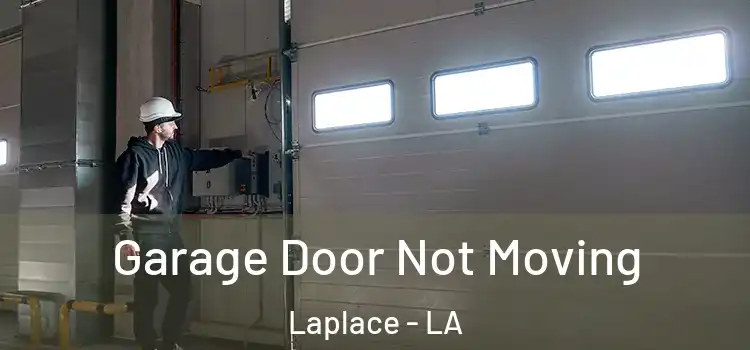  Garage Door Not Moving Laplace - LA