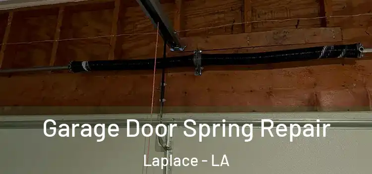  Garage Door Spring Repair Laplace - LA