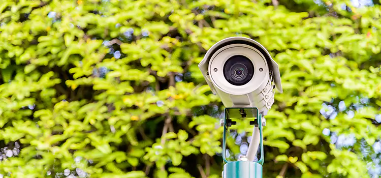 Advanced Surveillance Solutions for Every Need in Laplace