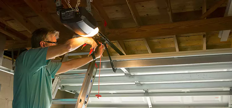 Garage Door Opener Sales and Installation Laplace