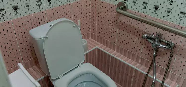 Meeting Diverse Needs With Accessible Restroom Solutions in Laplace, LA