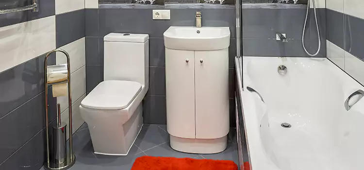 Hansgrohe Shaving Mirror Laplace