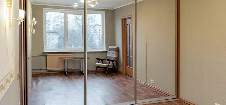 Mirror Closet Door Roller Replacement Laplace