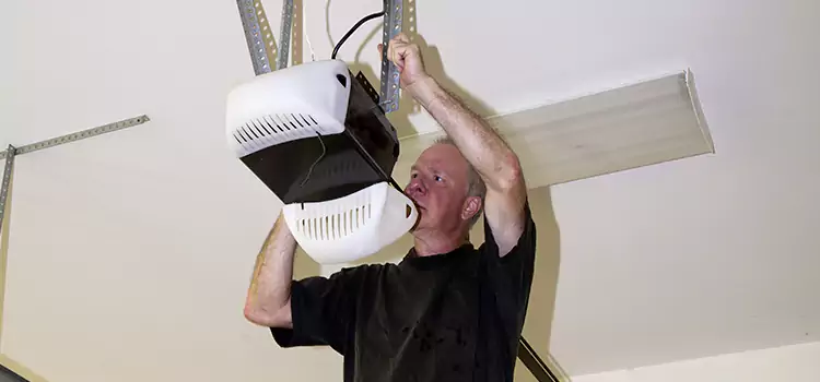 Garage Door Opener Service Laplace
